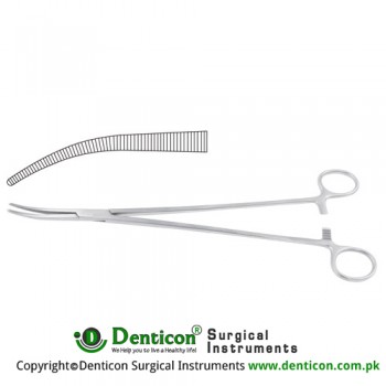 Zenker Dissecting and Ligature Forcep Curved Stainless Steel, 29.5 cm - 11 1/2" 